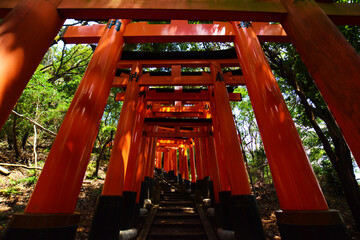 伏見稲荷大社の千本鳥居