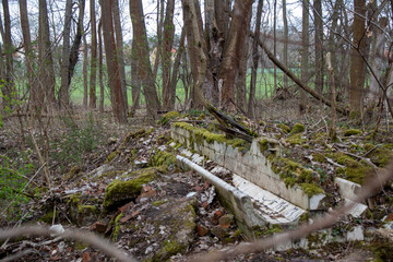 Rustic wild forests and old, partially blown up bunkers from the 2nd World War of the former MIMO plants in Leipzig Plaussig ,Germany