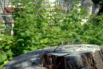 Freshly picked cucumbers in a wicker basket from the village.