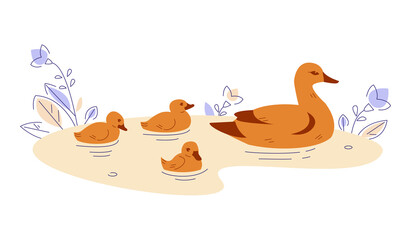 Duck with ducklings in the water. Vector illustration in flat cartoon style.