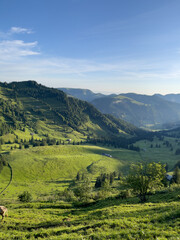 Obraz premium Wandern auf die Lütispitz im Alpstein Schweiz
