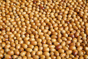 도토리묵 만드는 많은 도토리