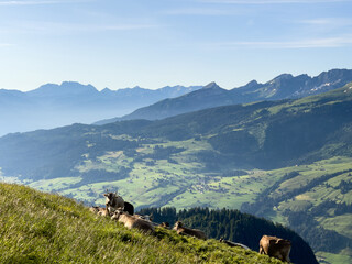 Wandern auf die Lütispitz im Alpstein Schweiz