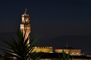 Night view of the Palace of Town Hall of Florence seen from Piazzale Michelangelo. Italy