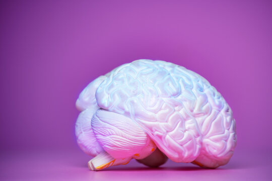 Photo Of The Glowing Brain On Purple Back