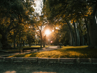Obraz premium Spectacular magical sunset in a natural park in Valencia, Spain (Mediterranean city). Golden hour with sun rays filtering through the trees and illuminating the lawn in summer.People walk.