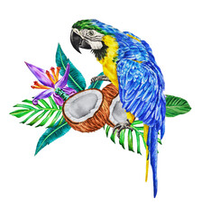 A bright macaw parrot sits on a botanical bouquet of tropical leaves, flowers and halves of coconut. Watercolor illustration. Hand drawn. © Mewlish art