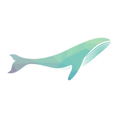 abstract humpback whale 