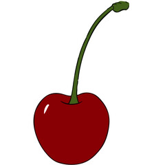 cherry, fruit, red, isolated, food, ripe, sweet, berry, white, healthy, dessert, stem, cherries, fresh, single, closeup, macro, two, freshness, green, juicy, delicious, object, eating, vegetarian