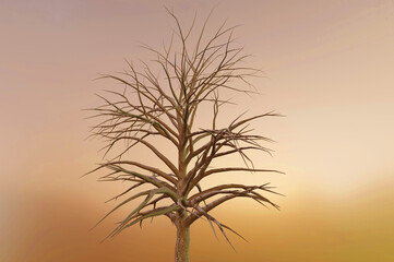 008_Tree