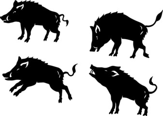 wild boar illustration silhouette