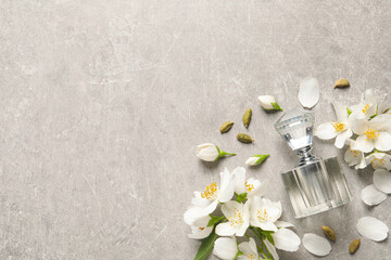 Bottle of luxury perfume and fresh jasmine flowers on light grey table, flat lay. Space for text