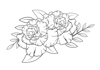 Flower leaves blossom drawing line art  isolated on white backgrounds