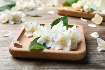 Obraz na płótnie Canvas Plate with beautiful jasmine flowers on wooden table, closeup