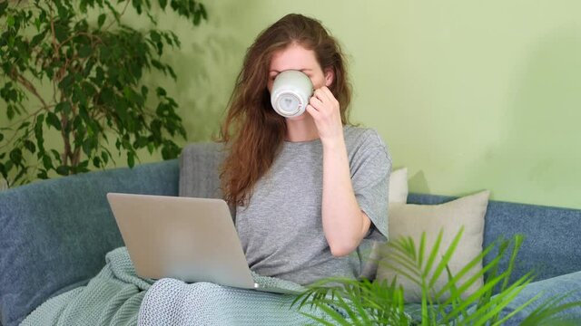 student is study laptop with cup of coffee. Check out news at breakfast in morning. Freelancer at home on couch video call searsh media. Drink mug and work isolation in quarantine. Relax in natural.