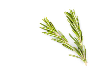 rosemary isolated on white background