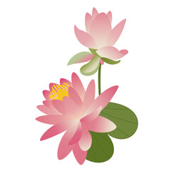 Pink lotus with leaf and bud. Water lily, a beautiful tropical flower. Hand-drawn vector. Asian culture, Japan, yoga, Buddhism. Delicate  petals, a symbol of purity. Spring and summer, wedding decor.