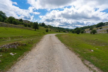 Fototapeta na wymiar Camino de montaña en el parque natural de Urbasa y Andía (Navarra, España).