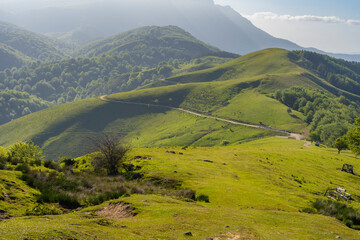 Montes praderas en el País Vasco (España).