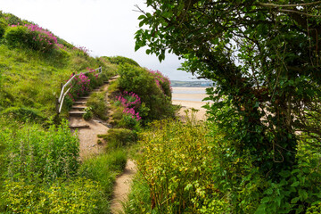 Rock village, North Cornwall, UK. A view of the sand dunes along the  coast path