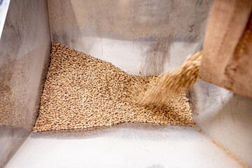 The technological process of grinding malt seeds at the mill © romaset