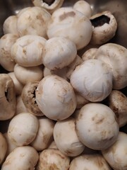 mushrooms on the market
