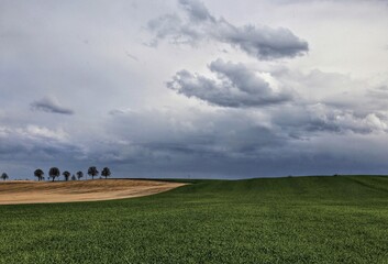 field and sky