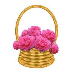 Fototapeta na wymiar Coral, pink, nature, flower, cute. romantic, roses, in basket, vines, art, object isolated, for web, for print
