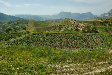 Fototapeta na wymiar Man-made terraces of the village Chokh. Dagestan, Russia