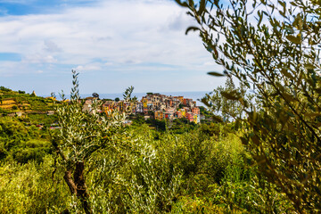 Fototapeta na wymiar Panorama of colourful houses in Riomaggiore at Cinque Terre