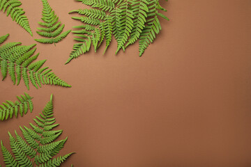 Beautiful tropical fern leaves on brown background, flat lay. Space for text