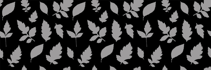 Leaf Collection. Leaves Flying. Set of Tree Branches, Herbs and Flowers Flat. Black and White Plants. Vector Silhouette. Garden Leaves.
