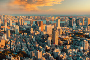 Tokyo at sunset. Evening in Japan. Japanese capital from a height. Life in a big city. Panorama of Tokyo. Tokyo streets from a bird's-eye view. Buildings in Japan. View of Japanese city from drone