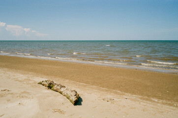 Log on beach in summer.This is photo shot by Film and Grain filter effect.