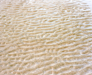 Sand on beach in summer.This is photo shot by Film and Grain filter effect.