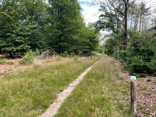 MTB trail through the National Park Drents-Friese Wold