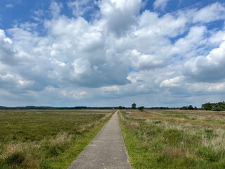 Fototapeta premium The scenery of National Park Drents-Friese Wold