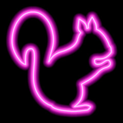 Obraz premium Neon pink squirrel silhouette on a black background. Minimalism