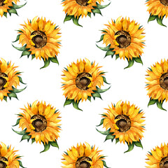 Watercolor illustration of sunflower flower pattern. Seamless repeating print of botanical floral background. Flowers, buds and leaves design elements. Isolated on white background. Drawn by hand.