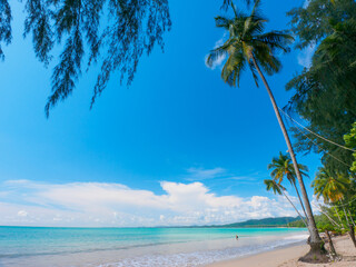 Obraz premium Quiet tropical beach on a sunny day (Coconut beach, Khao Lak, Phang Nga, Thailand)
