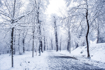 winter time in park from Sibiu city, Romania