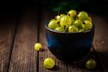 Fresh ripe berries of green gooseberry in a blue bowl on dark wooden background. Selective focus.