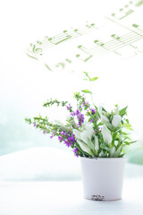 白いリンドウとミソハギのアレンジメントと楽譜の合成