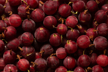 Gooseberry background. A lot of berry on table.