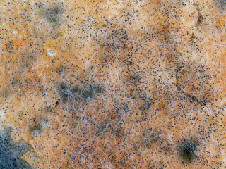 macro photo of molds on long-standing bread