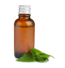 Glass bottle of nettle oil with leaves isolated on white