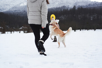 Caucasian woman with girl play in snow with their dog. Mix breed dog jumps high and tries to catch...
