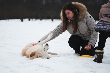 Happy life with dog without breed from shelter. Caucasian woman has thrown her fluffy dog into snow...