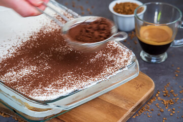 Hand sprinkles cocoa powder on a traditional tiramisu cake using a sifter. Authentic gluten-free Italian layered dessert with ladyfinger biscuits and mascarpone. Cup of coffee in background. Motion