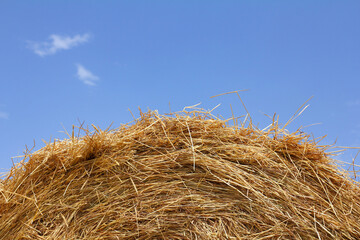 Fototapeta na wymiar oval roll of dry hay under a blue sky with clouds. summer day at haymaking